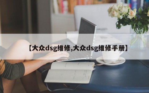 【大众dsg维修,大众dsg维修手册】